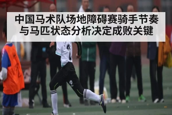 中国马术队场地障碍赛骑手节奏与马匹状态分析决定成败关键